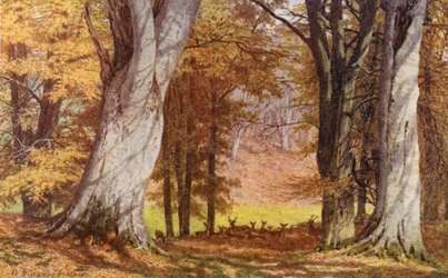 The Wilberforce Oak, Holwood Park, Keston