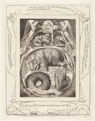 Behemoth and Leviathan