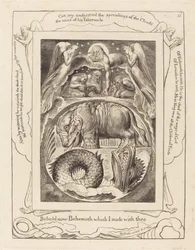Behemoth and Leviathan
