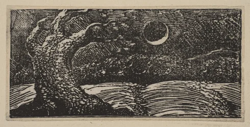 Blasted Trees and Flattened Crops, from Thornton