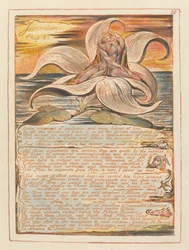 Jerusalem, Chapter 2. Every Ornament of Perfection (Plate 28)