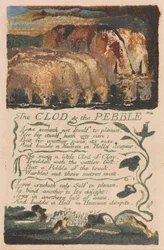 Songs of Innocence and of Experience, Plate 36, The Clod & the Pebble (Bentley 32)