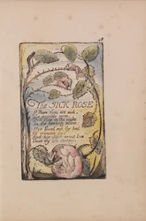 Songs of Innocence and of Experience, Plate 48, The Sick Rose (Bentley 39)