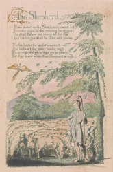 Songs of Innocence and of Experience, Plate 4, The Shepherd (Bentley 5)