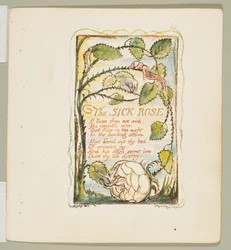 Songs of Innocence and of Experience: The Sick Rose