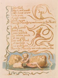 Spring (Plate 26)
