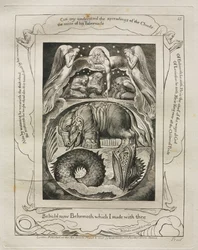 The Book of Job: Pl. 15, Behold now Behemoth which I made with thee