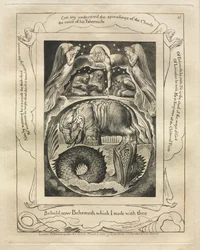 The Book of Job: Pl. 15, Behold now Behemoth which I made with thee