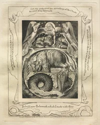 The Book of Job: Pl. 15, Behold Now Behemoth Which I Made with Thee, 1825