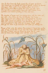 The Book of Thel, Plate 7, But he that loves the lowly . . . .