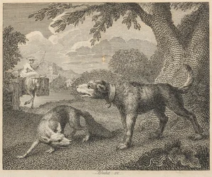 The Dog and the Fox