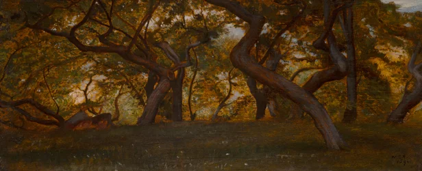 A Wood near Volterra, Italy