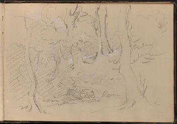 Sketch of a Group of Trees
