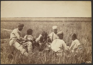 Children in Field