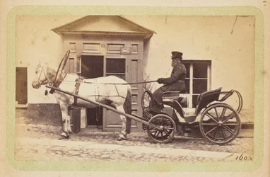 Man driving horse-drawn carriage