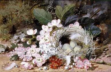 Still Life of Bird