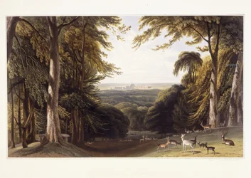 Windsor Castle from the Deer Park