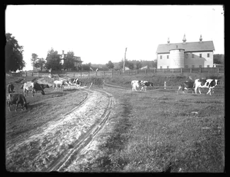 The McCready farm barn and Thomas residence, Pennsylvania