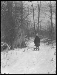William Gray Hassler pulling his sled through snowy woods