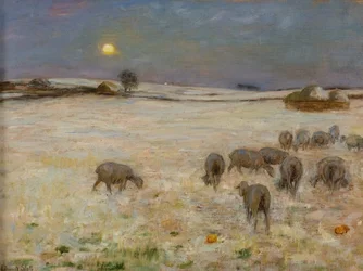Sheep in Snow