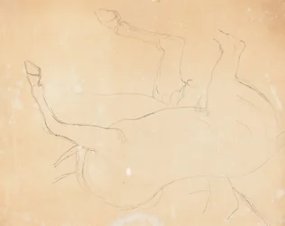 Study of a Horse