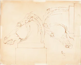 The Horse of Selene from the Elgin Marbles