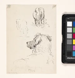 Dog (Recto), Dog And Cow (Verso)