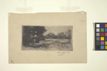 Landscape