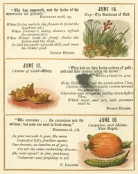 Page from The Bible Emblem Anniversary Book