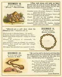Page from The Bible Emblem Anniversary Book