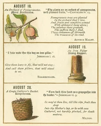 Page from The Bible Emblem Anniversary Book