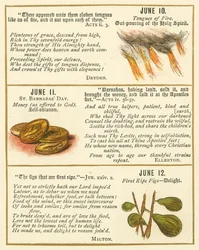 Page from The Bible Emblem Anniversary Book