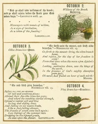 Page from The Bible Emblem Anniversary Book