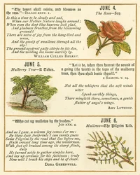 Page from The Bible Emblem Anniversary Book