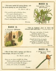 Page from The Bible Emblem Anniversary Book