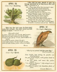 Page from The Bible Emblem Anniversary Book