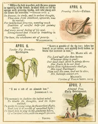 Page from The Bible Emblem Anniversary Book