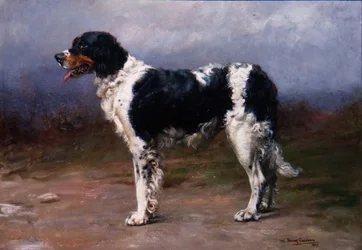 Gundog in a Landscape