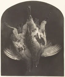 A Brace of Grouse