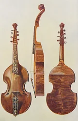 Musical instruments: Viola d