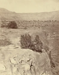 Plateau, North of the Grand Canyon