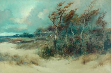 Trees in a Sandy Lane, Heysham