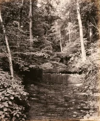 Owasco Lake, Cascade Glen, for the Lehigh Valley Railroad