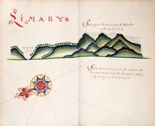 Limary, South American Pacific Coast