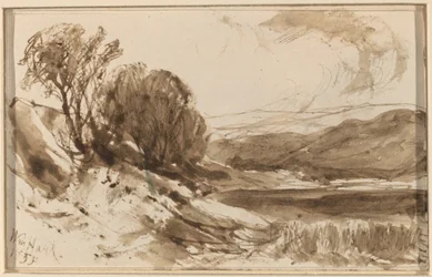 Hilly Landscape with Trees
