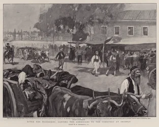 After the Massacres, Carting the Armenians to the Cemetery at Shishly