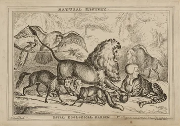 Royal Zoological Garden