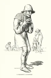 A Redsnout Catchpole