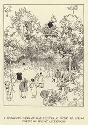 A notorious gang of hat thieves at work in Epping Forest on Sunday afternoons