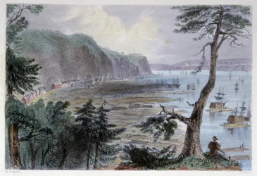 Timber Deposition near Quebec - in 